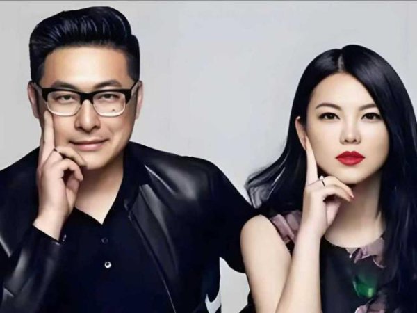 证券配资的条件 李湘王岳伦合资成立新公司，王岳伦任法人代表